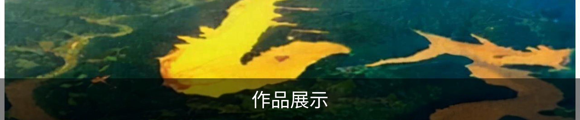 作品展示